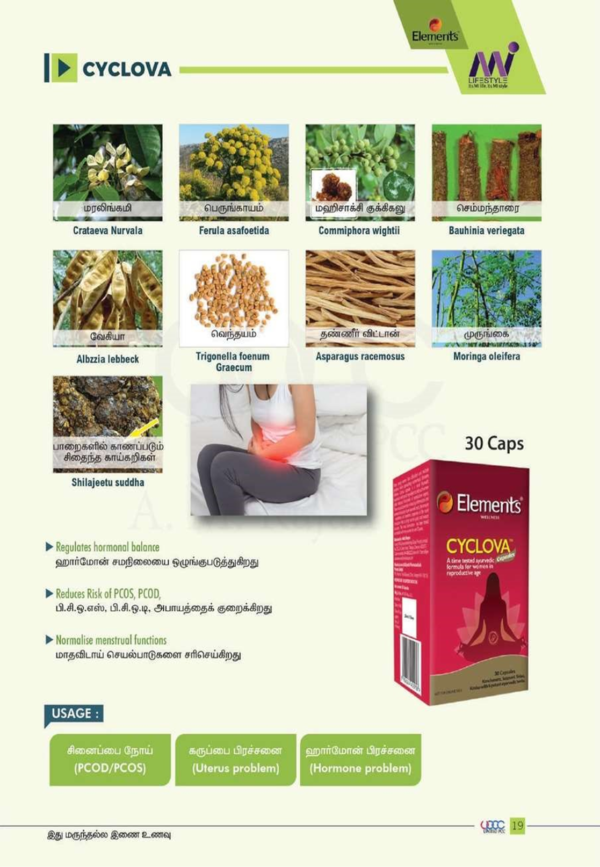 Control menstrual cycle & PCOD problems - Image 3