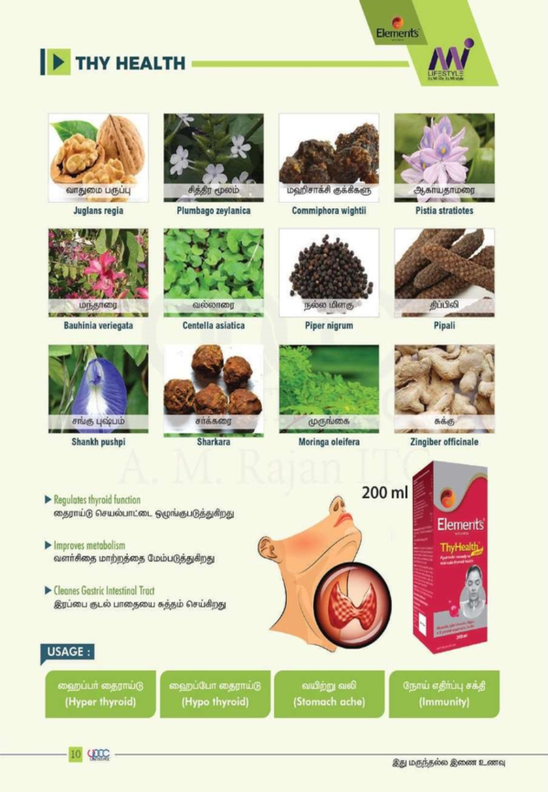 Thyroid - Image 3